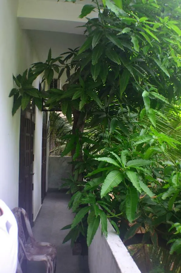 Steps Backpackers Hostel Colombo Sri Lanca